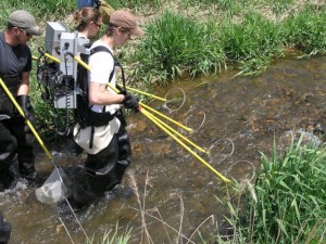 Fish and wildlife jobs in denver